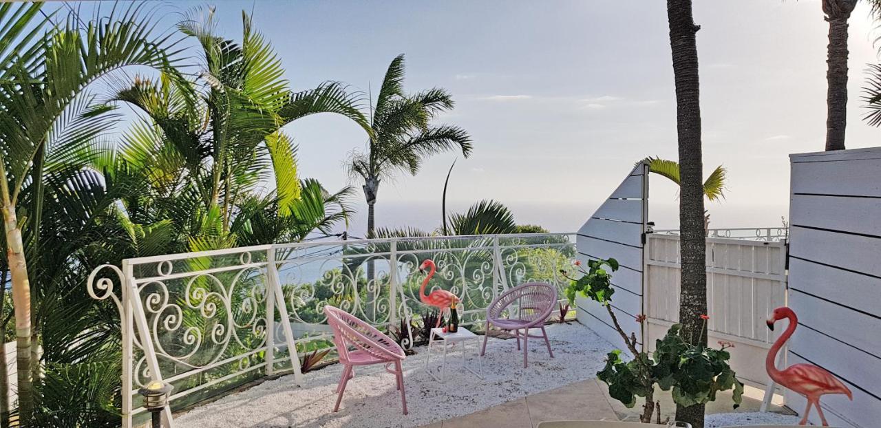 LA BOHEME, résidence de 5 appartements avec piscine, vue océan, Petite Ile Exterior foto